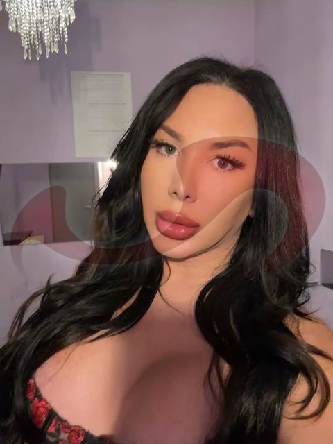  TS Karina Mendoza + Video   in Wien  / Wien , Obere viaduktgasse Nr 8A 