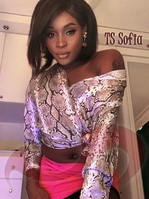  TS Sofia  in Wien  / Wien , Max-Winter-Platz 22 