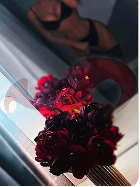  - Newcomer | Erstversuch:  Sonya Sexy Top Girl Ab Sofort   erstmalig im Laufhaus Liezen!  in Steiermark  / Liezen , Richard - Steinhuber - Strae 6 