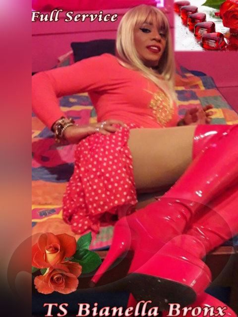  - Anal Sex | Griechisch:  TS Bianella Bronx Aus Costa Rica  in Nieder&ouml;sterreich  / St. Valentin , Wiener Stra�e 28 